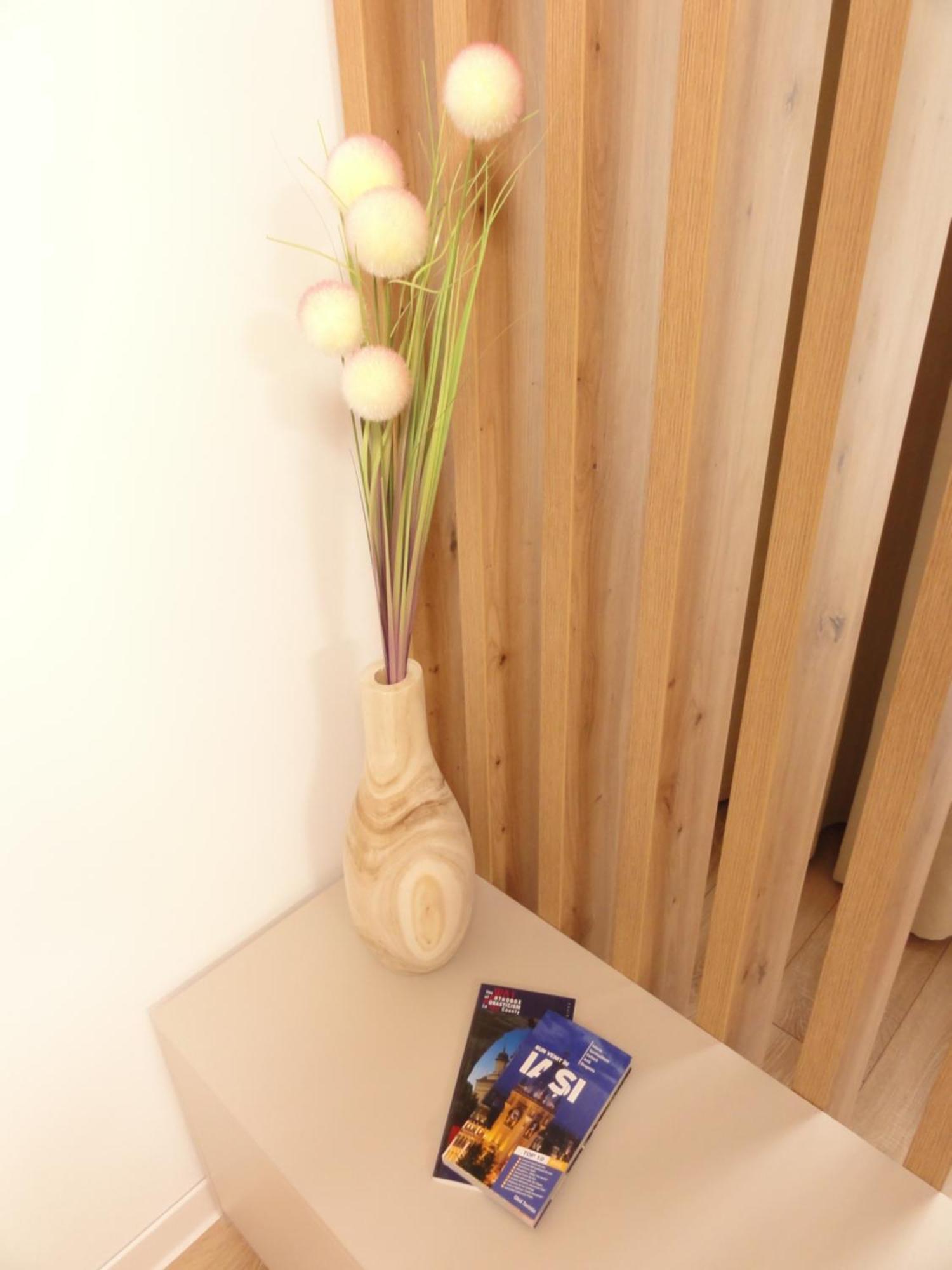 Central Luxury Apartment Jassy Zewnętrze zdjęcie