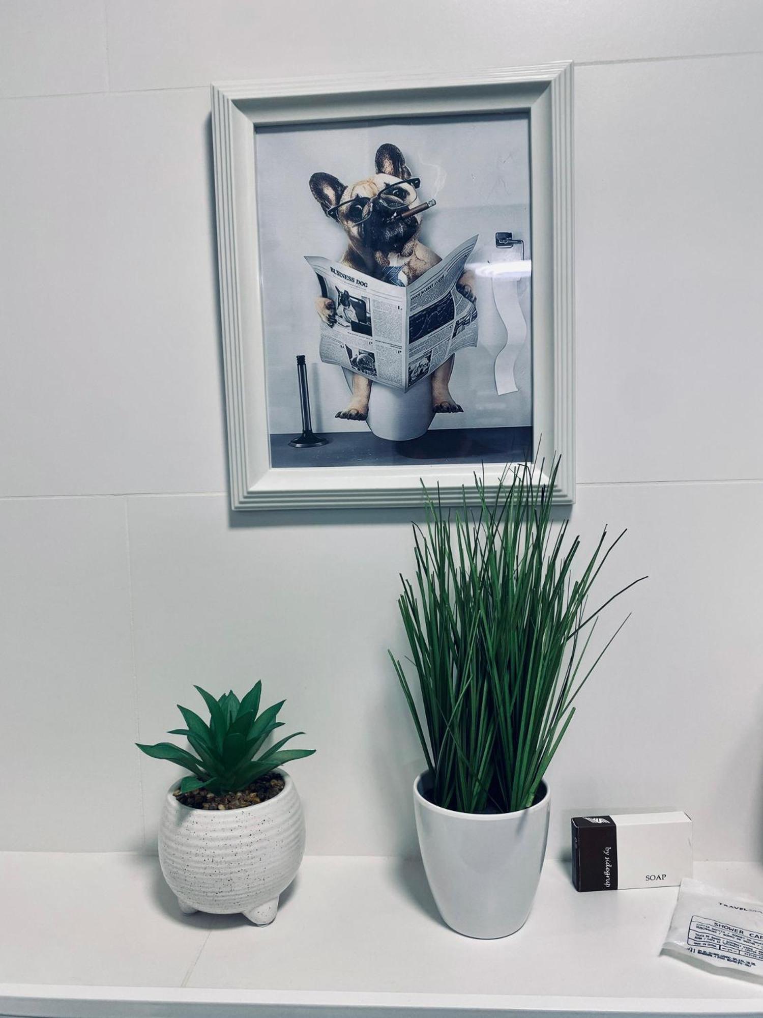 Central Luxury Apartment Jassy Zewnętrze zdjęcie